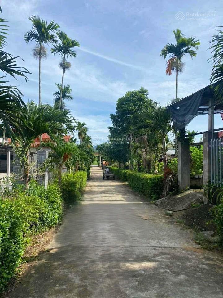 Cần bán thửa đất full thổ cư tại nghĩa lâm, tư nghĩa, quảng ngãi.