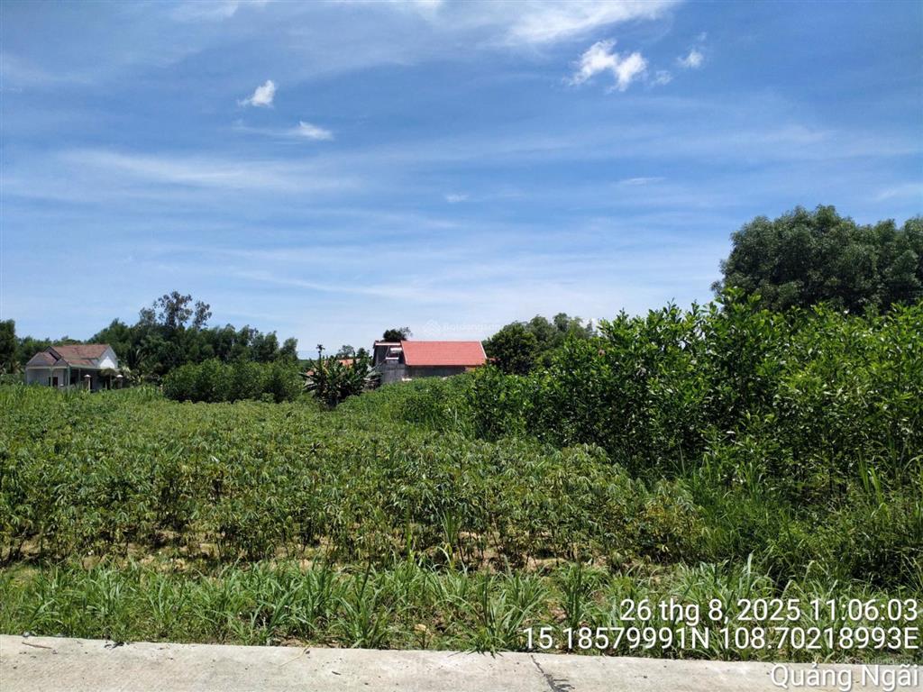 Cần bán thửa đất full thổ cư tại nghĩa lâm, tư nghĩa, quảng ngãi.