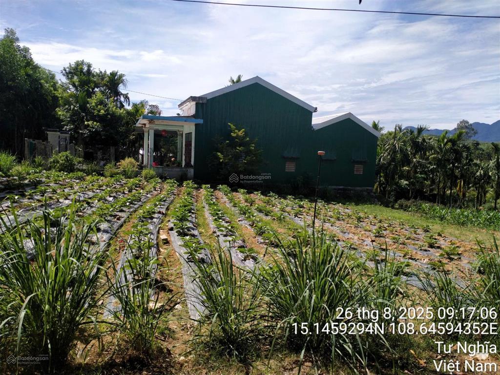 Cần bán thửa đất full thổ cư tại nghĩa lâm, tư nghĩa, quảng ngãi.