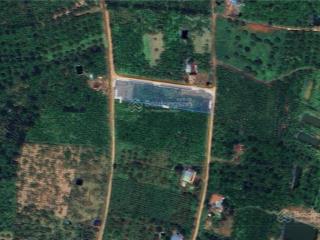 Bán đất tại xã lộc đức, huyện bảo lâm, lâm đồng, giá thỏa thuận, 768 m2