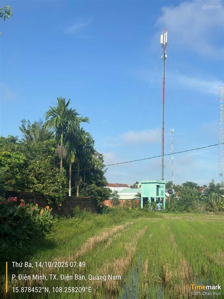 Đấu giá phát mãi mảnh đất view đồng lúa điện minh, điện bàn.