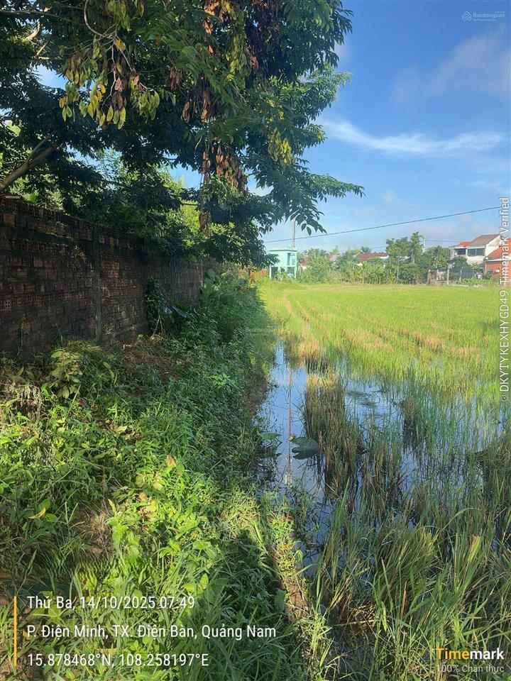Đấu giá phát mãi mảnh đất view đồng lúa điện minh, điện bàn.