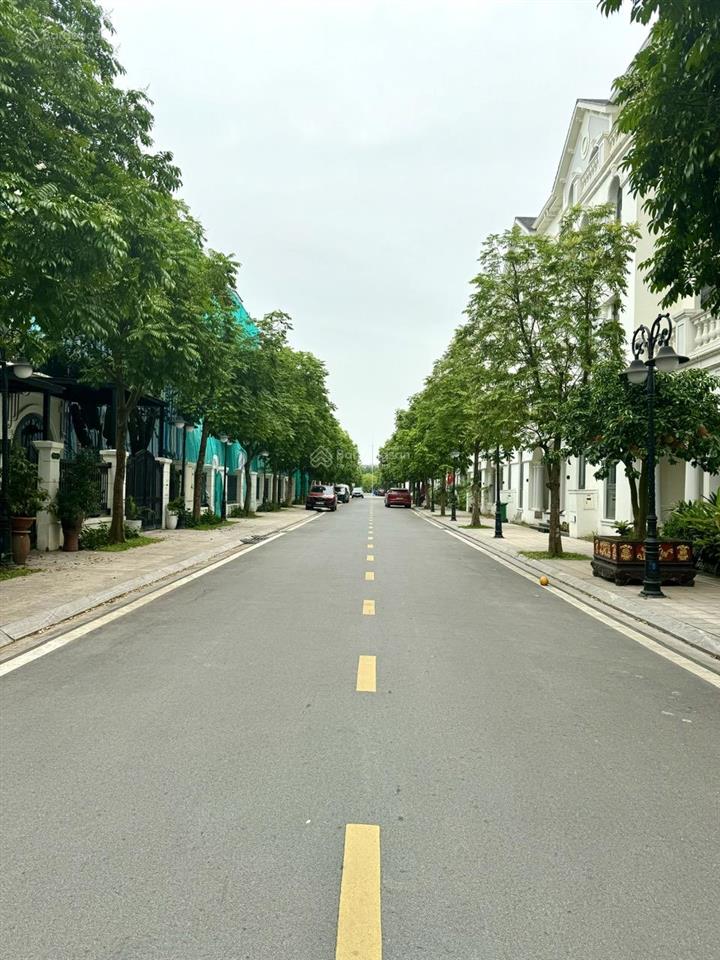 Bán gấp căn biệt thự liền kề phân khu ngọc trai đảo lớn vinhomes ocean park  19.x tỷ bp