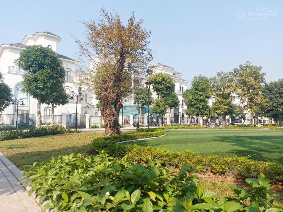 Bán gấp căn biệt thự liền kề phân khu ngọc trai đảo lớn vinhomes ocean park  19.x tỷ bp