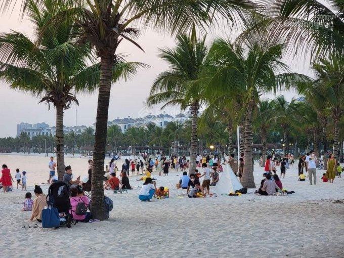 Bán biệt thự song lập 150m2, san hô dự án vinhomes ocean park  32.x tỷ bp