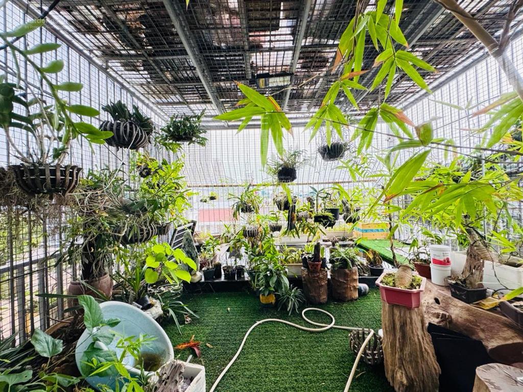 Chính chủ cần tiền bán gấp lk đô thị an hưng  83m  5 tầng  full nội thất  giá 17 tỷ có tl