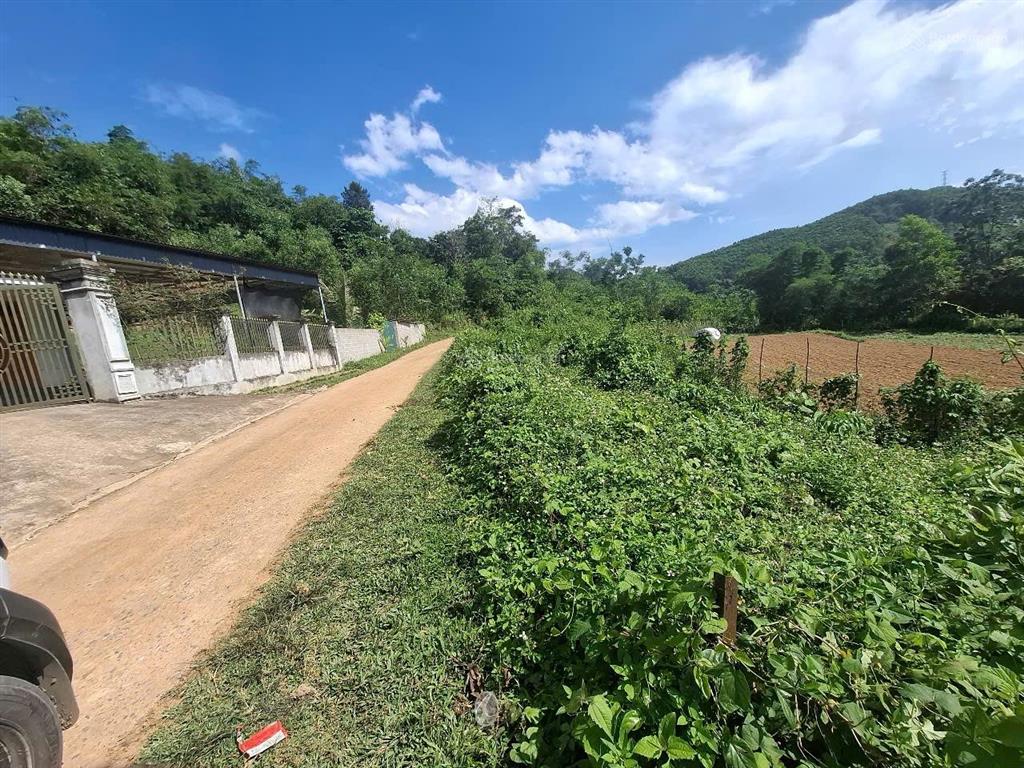 Rao bán đất hoà bình dt 2100m2 full thổ cư, 3 mặt tiền siêu đẹp, rẻ, hiếm