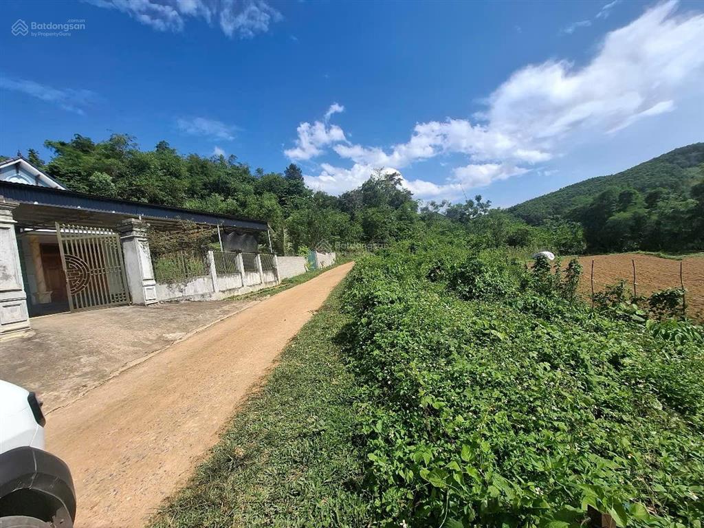 Rao bán đất hoà bình dt 2100m2 full thổ cư, 3 mặt tiền siêu đẹp, rẻ, hiếm