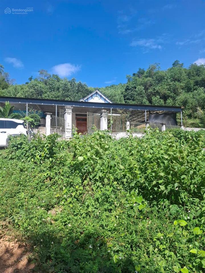 Rao bán đất hoà bình dt 2100m2 full thổ cư, 3 mặt tiền siêu đẹp, rẻ, hiếm