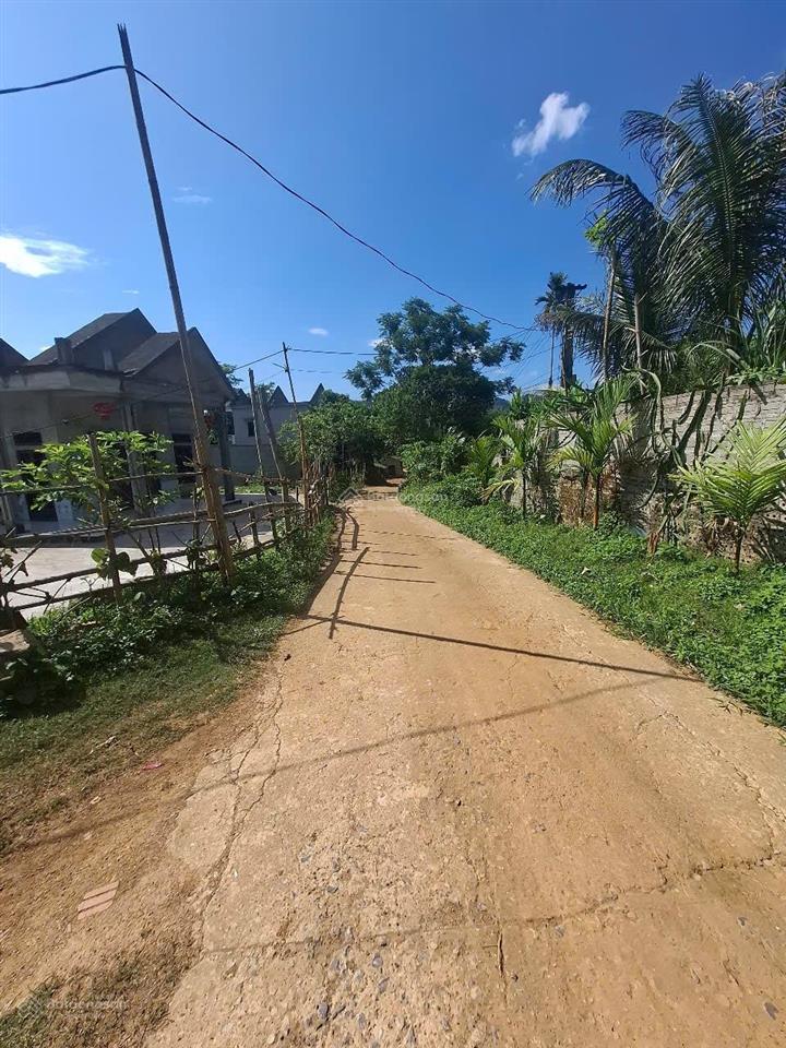 Rao bán đất hoà bình dt 2100m2 full thổ cư, 3 mặt tiền siêu đẹp, rẻ, hiếm