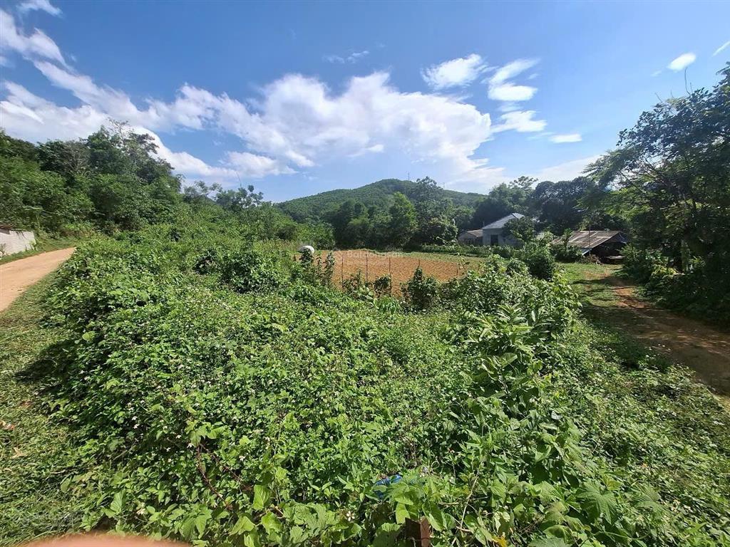 Rao bán đất hoà bình dt 2100m2 full thổ cư, 3 mặt tiền siêu đẹp, rẻ, hiếm