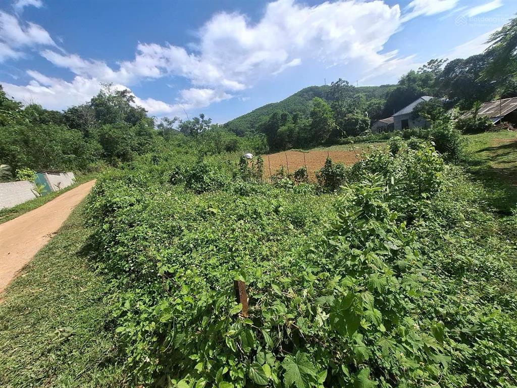 Rao bán đất hoà bình dt 2100m2 full thổ cư, 3 mặt tiền siêu đẹp, rẻ, hiếm
