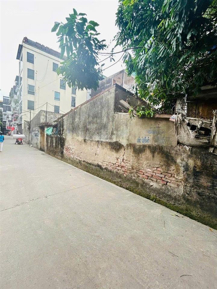 Bán đất tại phường lĩnh nam, quận hoàng mai, hà nội, 125 tỷ, 560 m2, giá tốt, đẹp, nhiều tiện ích