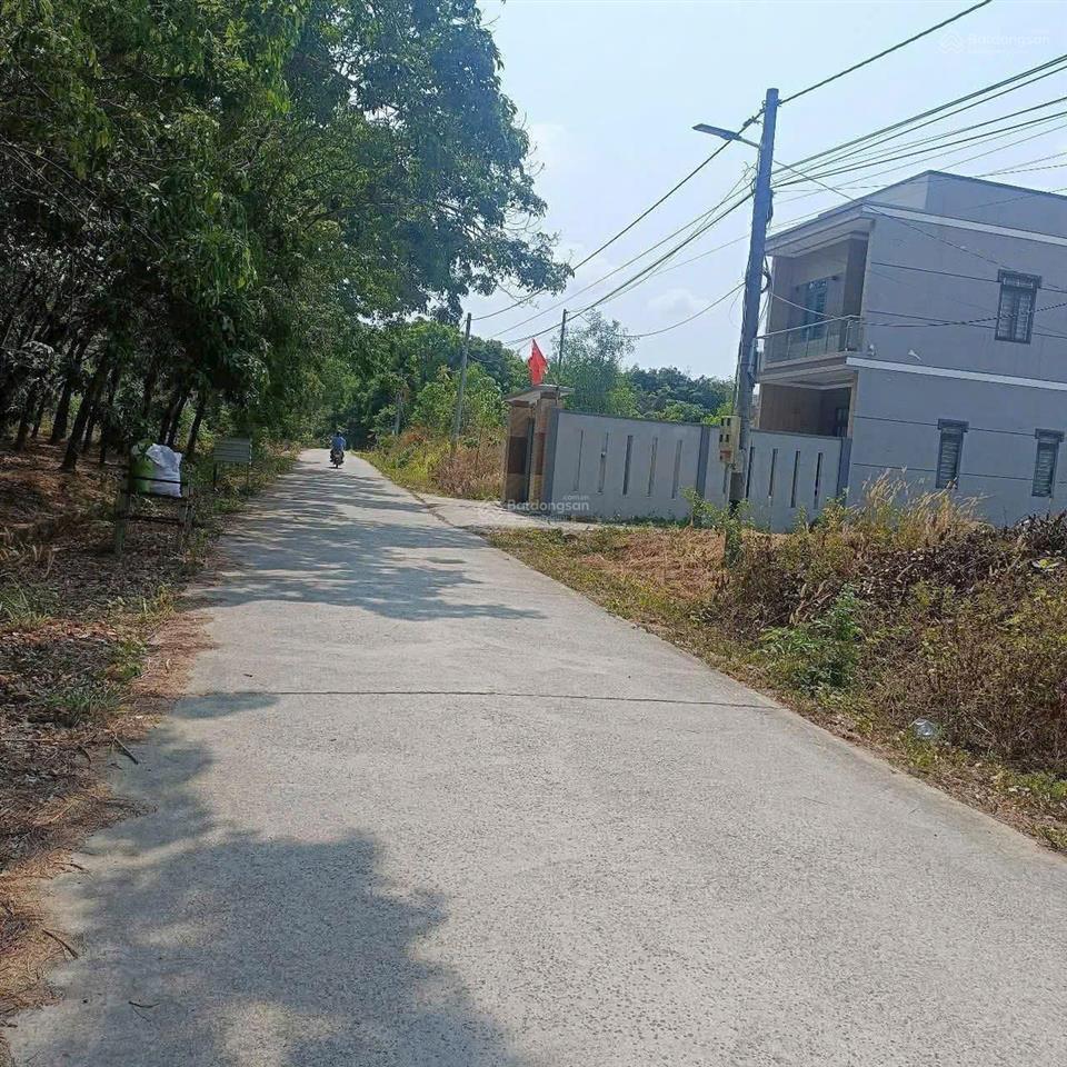 Bán đất đường bê tông suối nhum hắc dịch  giá 1,2xx tỷ