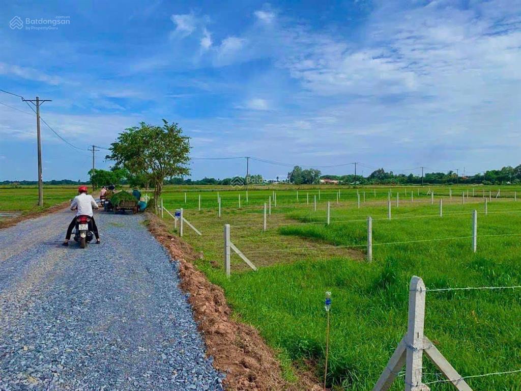 Cuối năm kẹt tiền tôi bán gấp lô đất 523.4m2 đường tỉnh lộ 7 xã thái mỹ củ chi sổ riêng