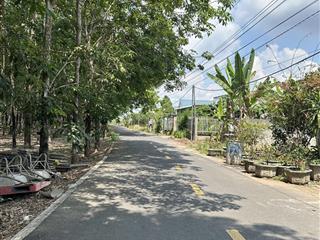 Bán đất 250m2 tại an bình, phú giáo, bình dương, giá thỏa thuận, hàng hiếm uy tín