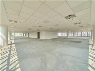 Văn đẹp mới sáng diện tích 280m2 giá thuê chỉ 44 triệu/tháng tại nguyễn trãi