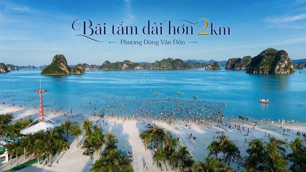 Vân bay vân đồn dòng căn hộ đẳng cấp wellness view vịnh bái tử long