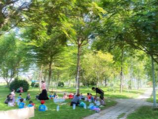 Phân khu tài lộc  khu dịch vụ hỗn hợp vsip   0348 468 ***