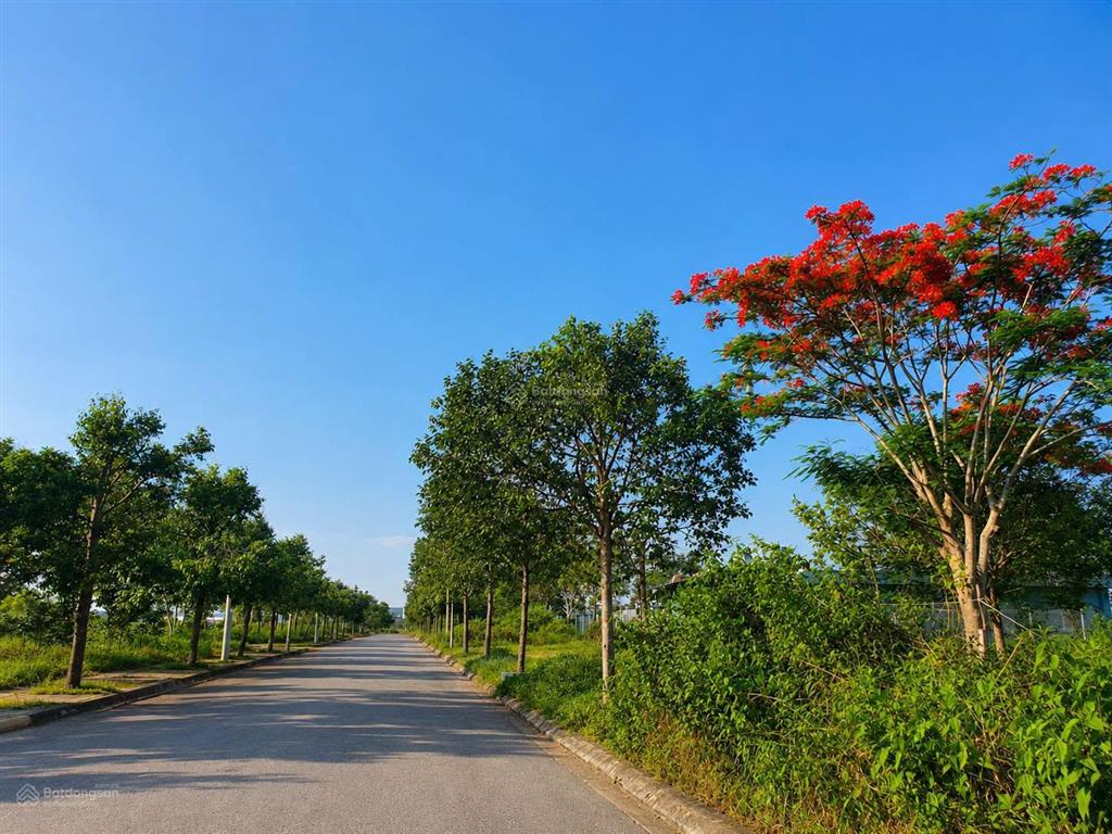 Em cần bán lô đất lkb.10 tại khu dịch vụ hỗn hợp vsip quảng ngãi giá 1,2 tỷ chiết khấu 50 triệu