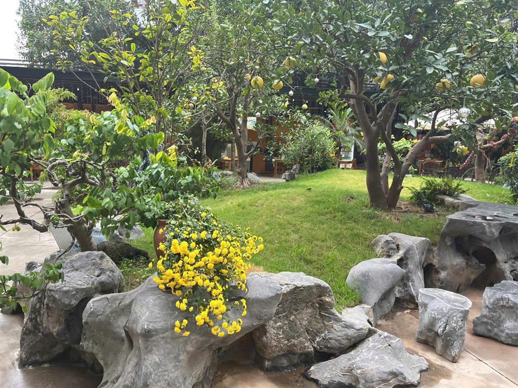 Bán căn hộ 3pn chung cư the nestar 83 hào nam, sổ đỏ, full nội thất siêu đẹp