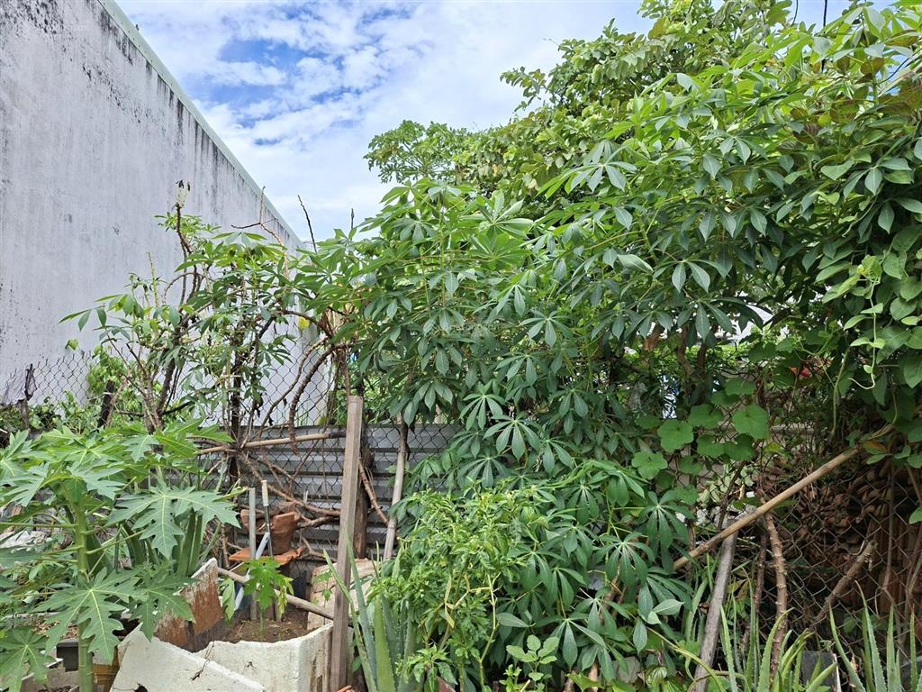 3,790 tỷ  hẻm xe hơi  14 phút metro, quận 2, khu cnc  19 phút trung tâm  95m² (5x19) 100% odt