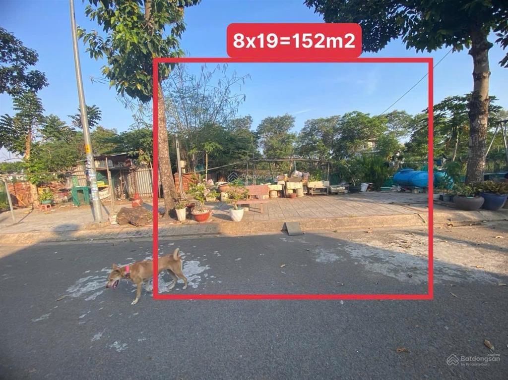 Hàng đẹp tại tam đa, nút lên vành đai 3, 8x19