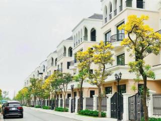 Quá rẻ săn hàng cắt lỗ tứ lập hải âu 120m2 sẵn sổ 15 tỷ công chứng ngay, ocean park 2. 0961 522 ***