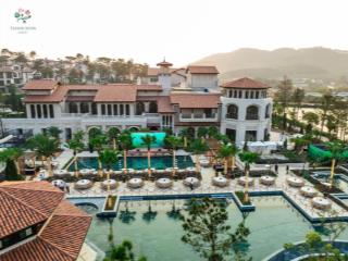 Suất ngoại giao căn song lập intercontinental  camellia