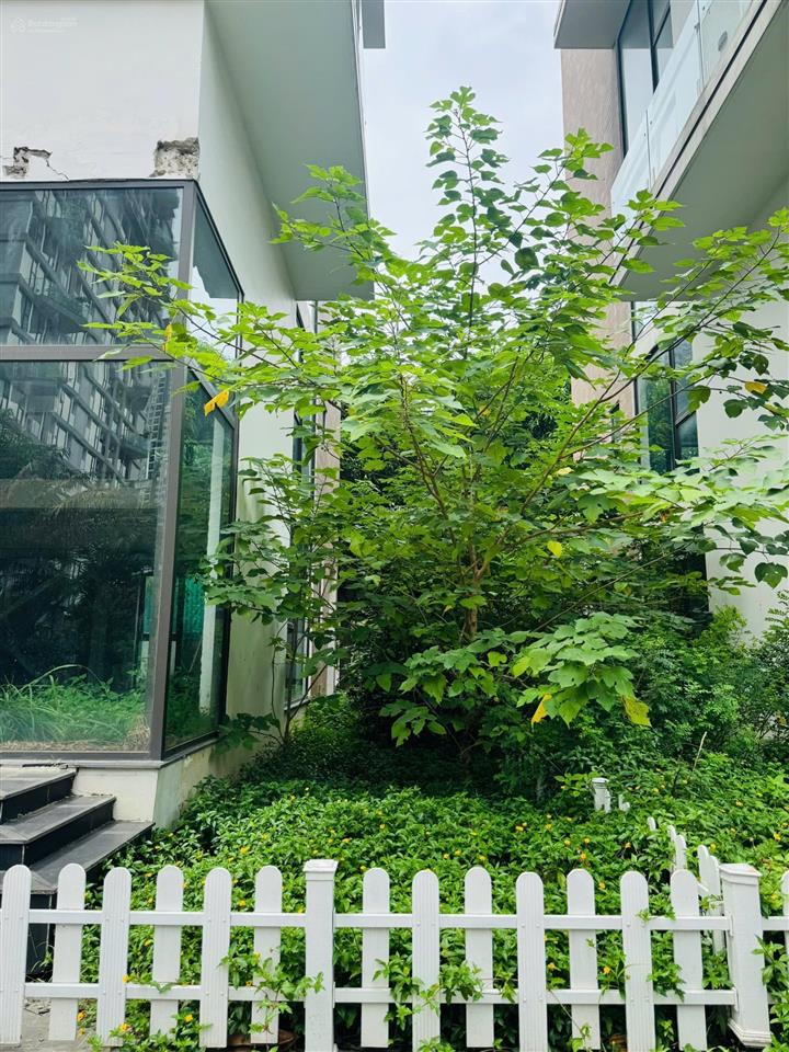 Cần bán biệt thự song lập rừng thông ecopark