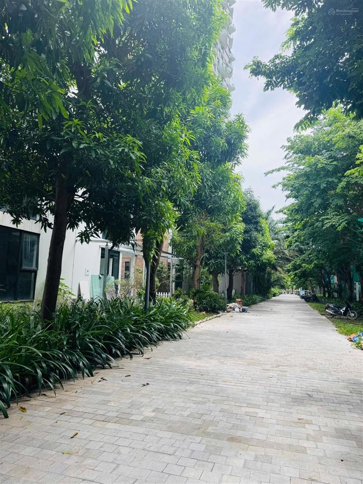 Cần bán biệt thự song lập rừng thông ecopark