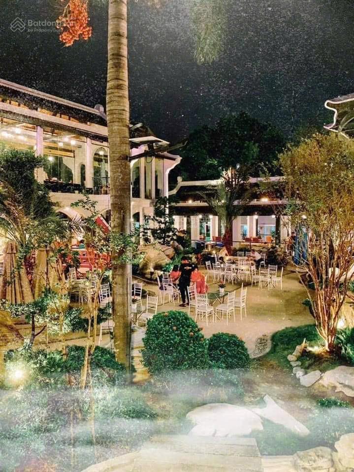 5523m2 mt dương quảng hàm, dt 50x100m, giá 379 tỷ, hđt 2 tỷ/tháng, xây cao tầng