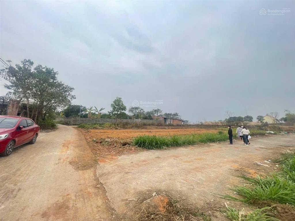 Bán đất chính chủ kcn tam dương