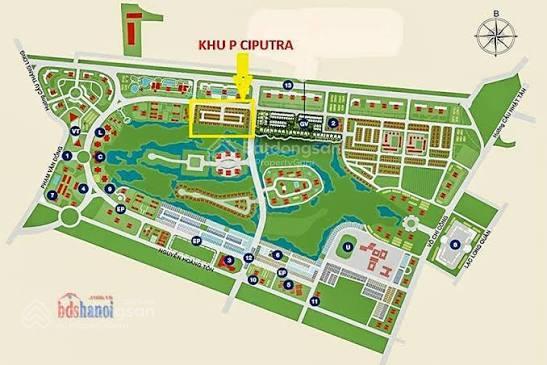 Giảm chào 5 tỷ, cần bán biệt thự sân vườn ciputra, mặt tiền 9m