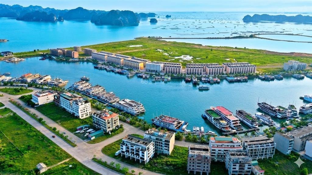 Trí đại siêu phẩm nghỉ dưỡng  bán căn g92 tuần châu  mặt đường 38m , sổ đỏ giá 5,x tỷ