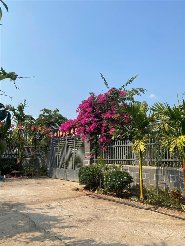 Chị gái gửi cho thuê mặt tiền đường phạm ngũ lão rất tiện cho viêc kinh doanh buôn bán giá 10tr