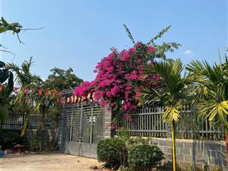 Chị gái gửi cho thuê mặt tiền đường phạm ngũ lão rất tiện cho viêc kinh doanh buôn bán giá 10tr