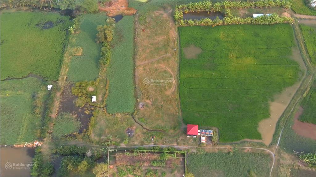 Siêu vip đường võ văn thu, xã hưng long  bình chánh 1.6 tỷ