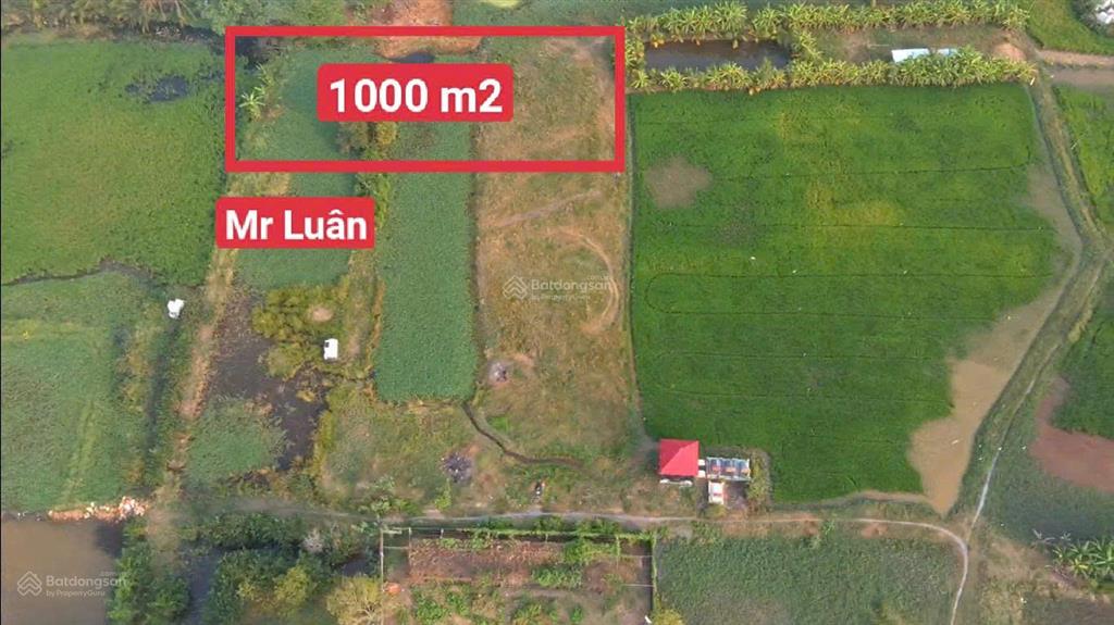 Siêu vip đường võ văn thu, xã hưng long  bình chánh 1.6 tỷ