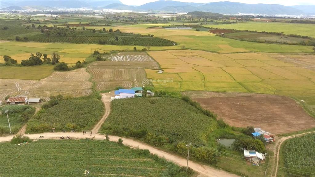Đất nông nghiệp gần sân bay đà lạt 12km, đối diện đại bảo tháp kinh luân