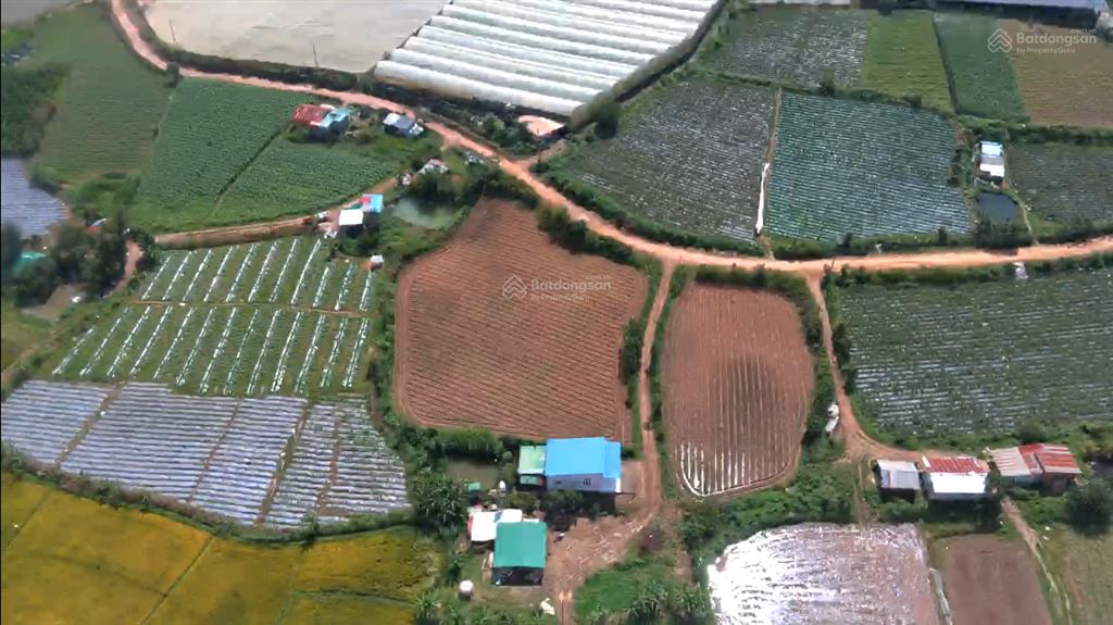 Đất nông nghiệp gần sân bay đà lạt 12km, đối diện đại bảo tháp kinh luân