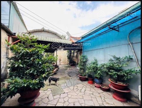 Bán nhà 216 m2, mặt tiền đường nam cao