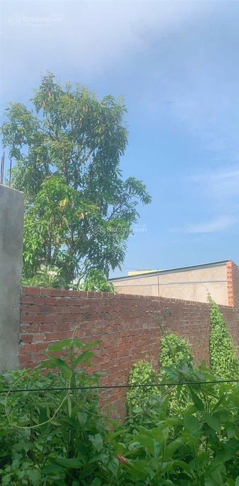Bán lô 1000m2 đất vườn đẹp phường long trường gần mặt tiền đường tam đa