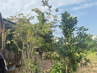 Mặt tiền trảng kèo 10  trung tâm hội an  giá tốt đầu tư chỉ 3.9 tỷ.  chính chủ 0938 779 ***