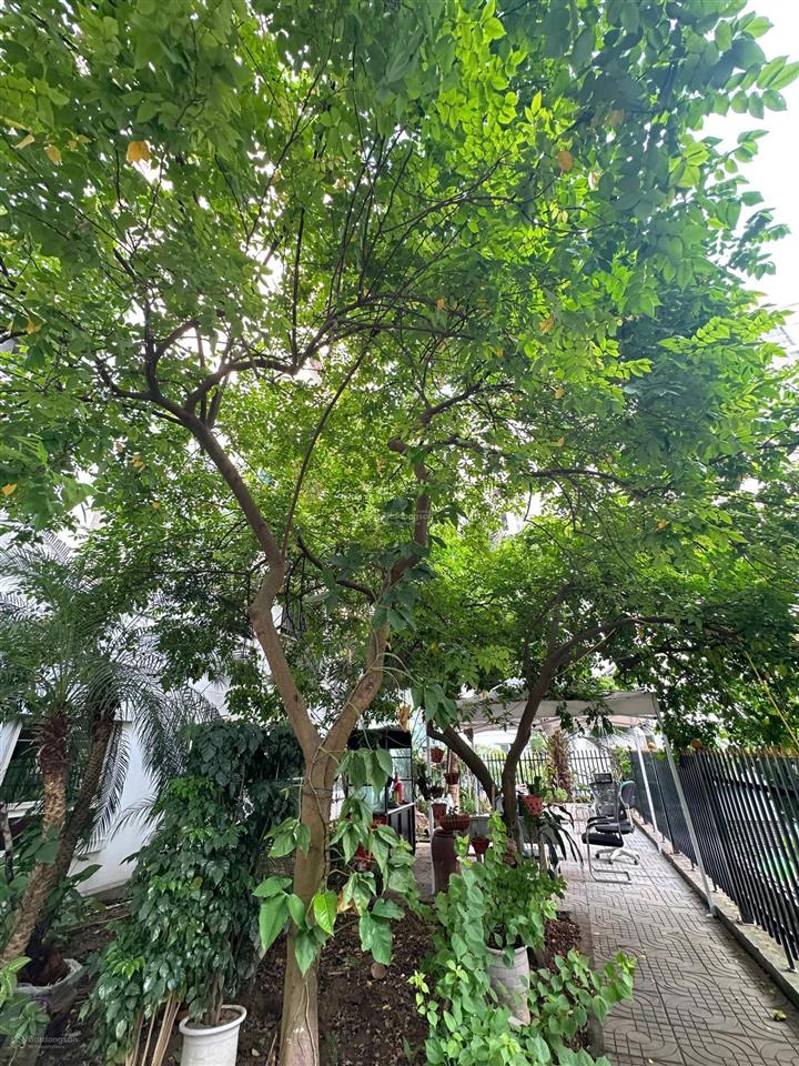 Duy nhất căn 2 ngủ hơn 3 tỉ, sổ sang tên ngay