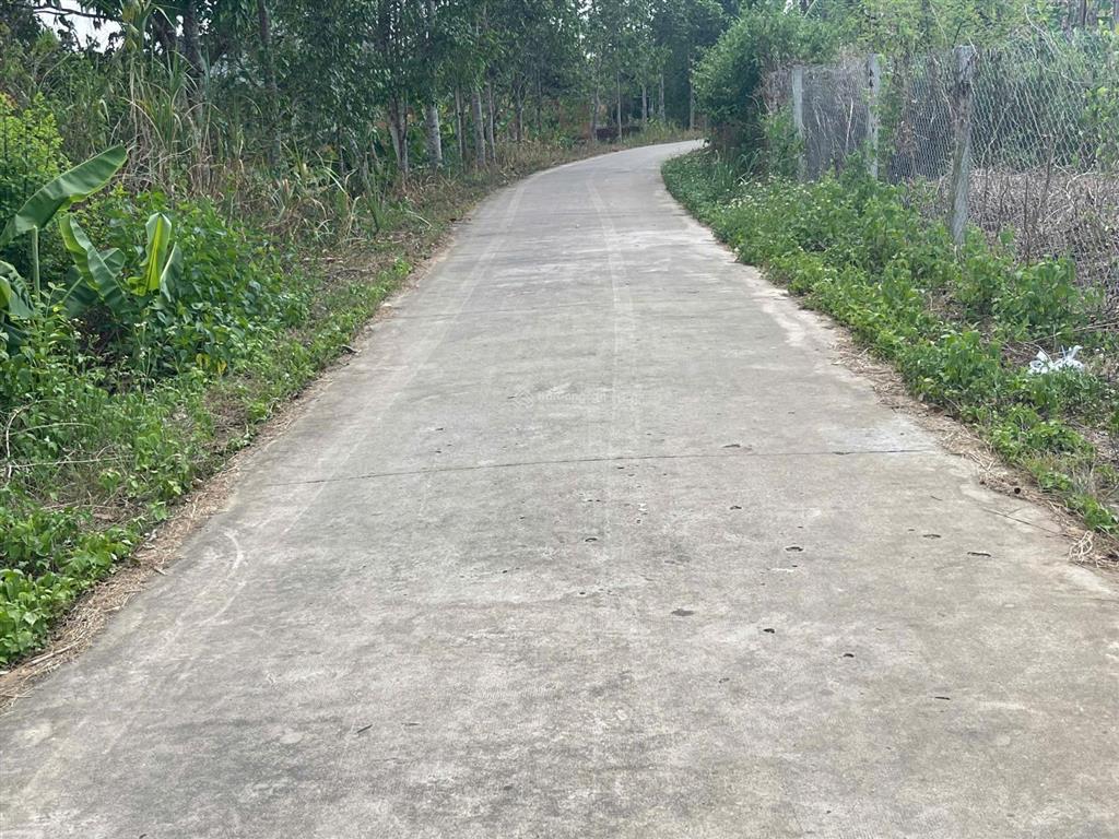 Cần bán lô đất 1100m2 đất có sẵn 100m2 thổ cư,mặt tiền đường bê tong,dân cư ở đông đúc