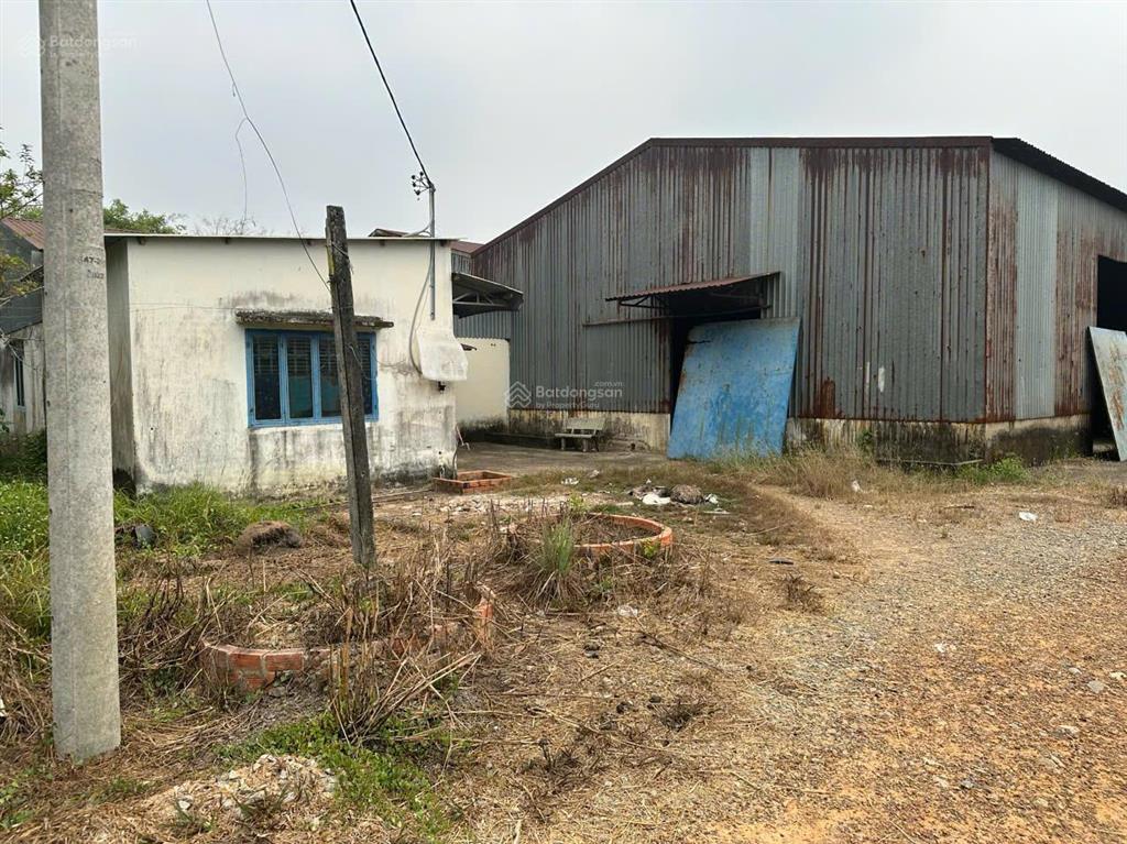 Chính chủ bán 1,7ha sát vinhomes củ chi cách hơn 200met, giá 1,45tr/m2 sổ hồng đường nhựa