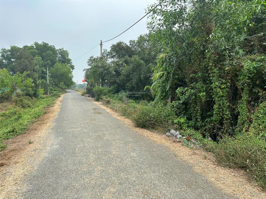Chính chủ bán 1,7ha sát vinhomes củ chi cách hơn 200met, giá 1,45tr/m2 sổ hồng đường nhựa