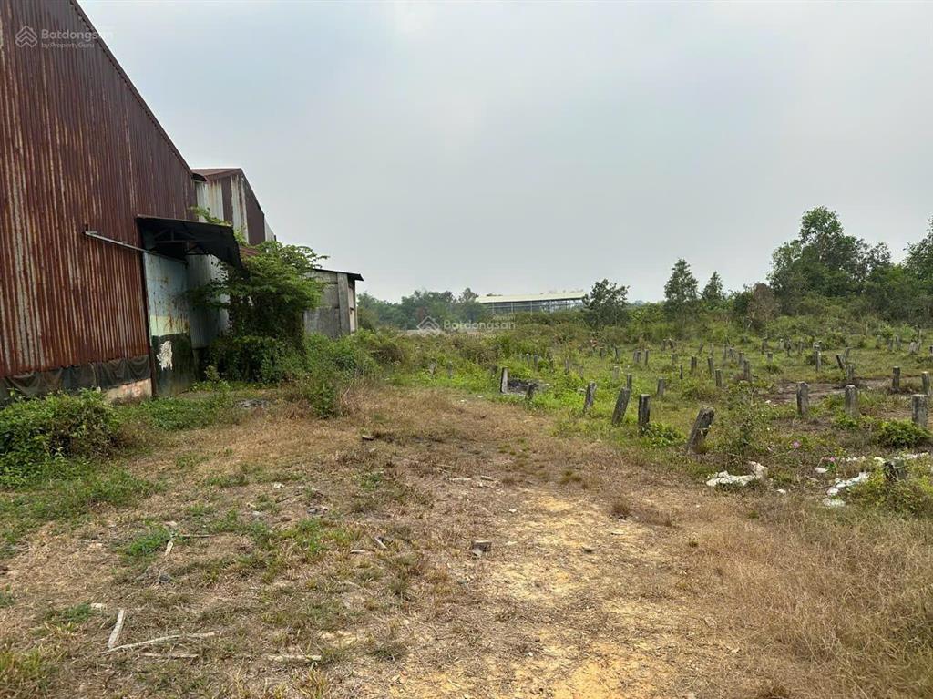 Chính chủ bán 1,7ha sát vinhomes củ chi cách hơn 200met, giá 1,45tr/m2 sổ hồng đường nhựa