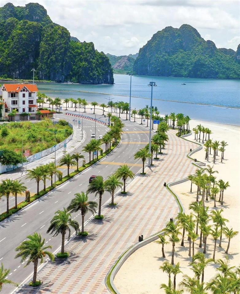 Em bán đất mặt đường bao biển cột 8, đối diện bãi tắm, dt 312m2, mt12m, hướng đn, giá 300tr/m2